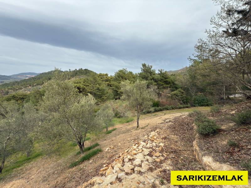 Havran Hallaçlar Mah`daZeytinlik. - 18